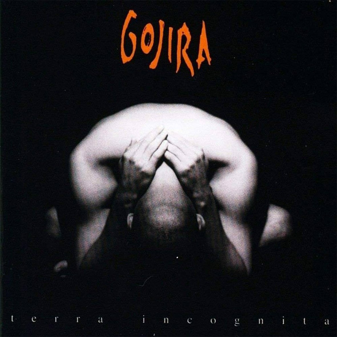LP Gojira - Terra Incognita (Marble Ltd. Edition)